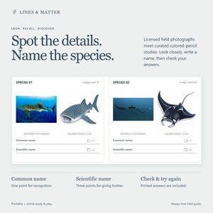 May include: A printable educational field guide titled LINES & MATTER with the text Spot the details. Name the species. It features two sections for species identification, each containing a reference photograph and a colored-pencil study of marine life.