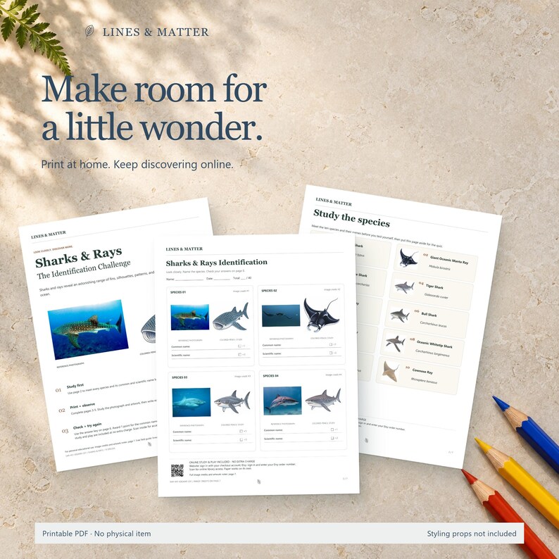 May include: Three white paper sheets featuring the text Lines & Matter, Sharks & Rays The Identification Challenge, and Study the species. The pages contain educational diagrams, shark and ray photographs, and blank lines for writing names.