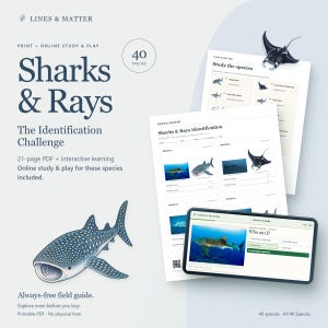 May include: A 21-page digital Sharks & Rays identification challenge guide featuring 40 species. Includes printable PDF worksheets with scientific names and an interactive online study game displayed on a tablet screen with multiple-choice questions.