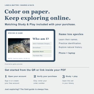 May include: An educational graphic featuring the text Lines & Matter / Sharks & Rays, Color on paper. Keep exploring online. Matching Study & Play included with your purchase. It displays a Species ID Game interface with an Epaulette Shark photo.