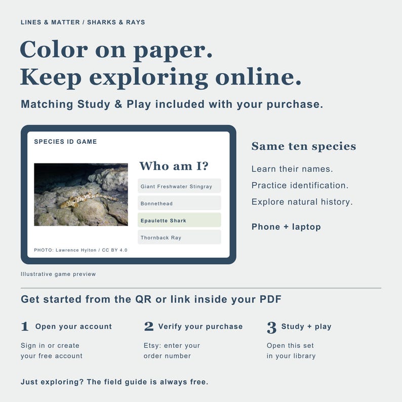 May include: An educational graphic featuring the text Lines & Matter / Sharks & Rays, Color on paper. Keep exploring online. Matching Study & Play included with your purchase. It displays a Species ID Game interface with an Epaulette Shark photo.