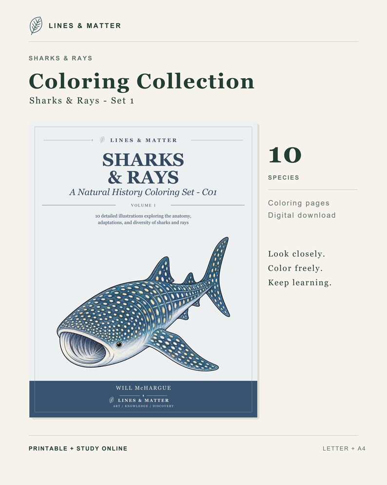 May include: A digital coloring collection titled Sharks & Rays - A Natural History Coloring Set - C01 by Lines & Matter. The cover features a detailed illustration of a whale shark on a light blue background, with text indicating 10 species.