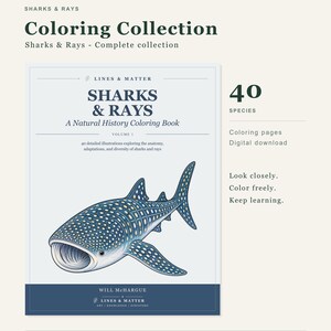 Puede incluir: Un libro de colorear digital titulado Sharks & Rays: A Natural History Coloring Book, Volume 1, que presenta 40 especies. La portada muestra una ilustraci&oacute;n detallada de un tibur&oacute;n ballena azul y blanco, con texto que incluye Lines & Matter y Will McHargue.