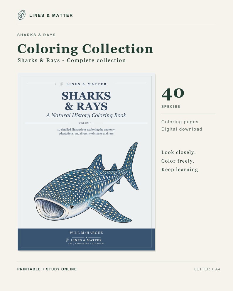 Puede incluir: Un libro de colorear digital titulado Sharks & Rays: A Natural History Coloring Book, Volume 1, que presenta 40 especies. La portada muestra una ilustraci&oacute;n detallada de un tibur&oacute;n ballena azul y blanco, con texto que incluye Lines & Matter y Will McHargue.