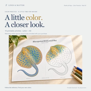 May include: A printable activity sheet titled A little color. A closer look. featuring a Bluespotted Ribbontail Ray. The sheet displays a fully colored ray on the left and an outline version on the right for coloring, with colored pencils nearby.