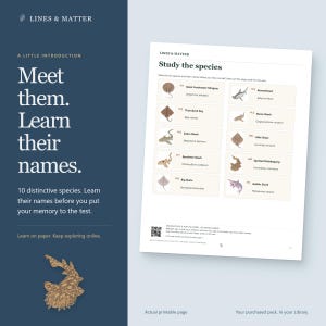 May include: A white educational study sheet titled Study the species featuring ten marine animals with their common and scientific names. The page includes a QR code at the bottom and is set against a dark blue background with the text Lines & Matter.