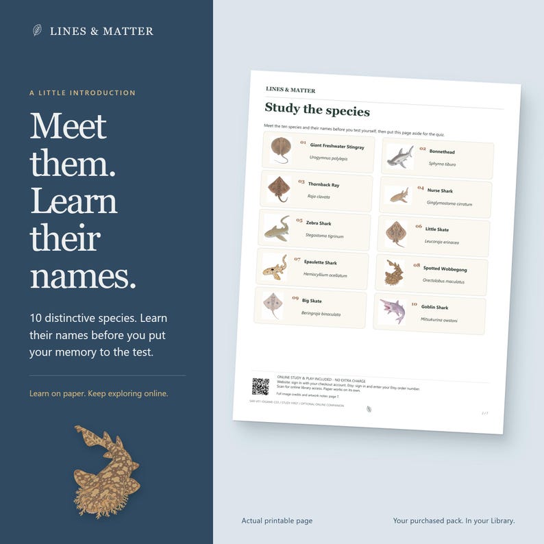 May include: A white educational study sheet titled Study the species featuring ten marine animals with their common and scientific names. The page includes a QR code at the bottom and is set against a dark blue background with the text Lines & Matter.