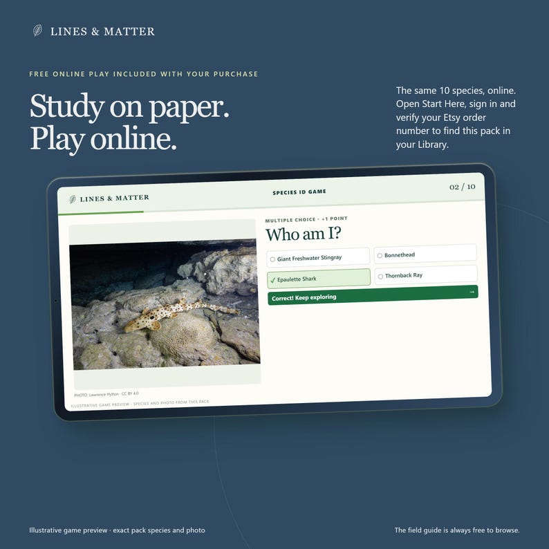 May include: A digital tablet screen displaying the Lines & Matter Species ID Game. The interface shows a multiple-choice question titled Who am I? with an image of an epaulette shark on rocky terrain. The screen text includes Study on paper. Play online.