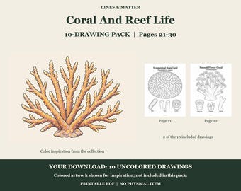Coral And Reef Life Coloring Pages 21-30: 10-Page Printable Pack, Digital PDF