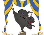 Reservados. Marcador de zona de Flash Mob