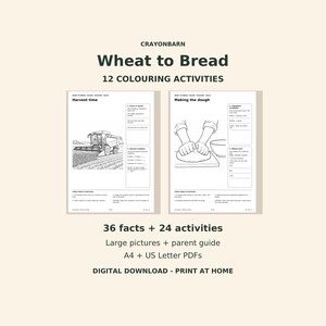 May include: A digital activity set titled CRAYONBARN Wheat to Bread 12 Colouring Activities. It features two pages: Harvest time with a combine harvester illustration and Making the dough with hands kneading dough. Includes 36 facts, 24 activities, and A4 or US Letter PDF formats.