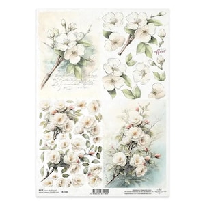 May include: A sheet of rice paper featuring four distinct sections of botanical illustrations. Each section displays white flowers with green leaves and brown branches, accented by soft watercolour washes and faint cursive script text.