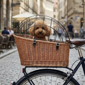 May include: A light brown curly-haired dog sits inside a woven wicker bicycle basket mounted on the rear rack of a dark blue bicycle. The basket features a black metal wire dome cage secured with two black straps to keep the pet contained.