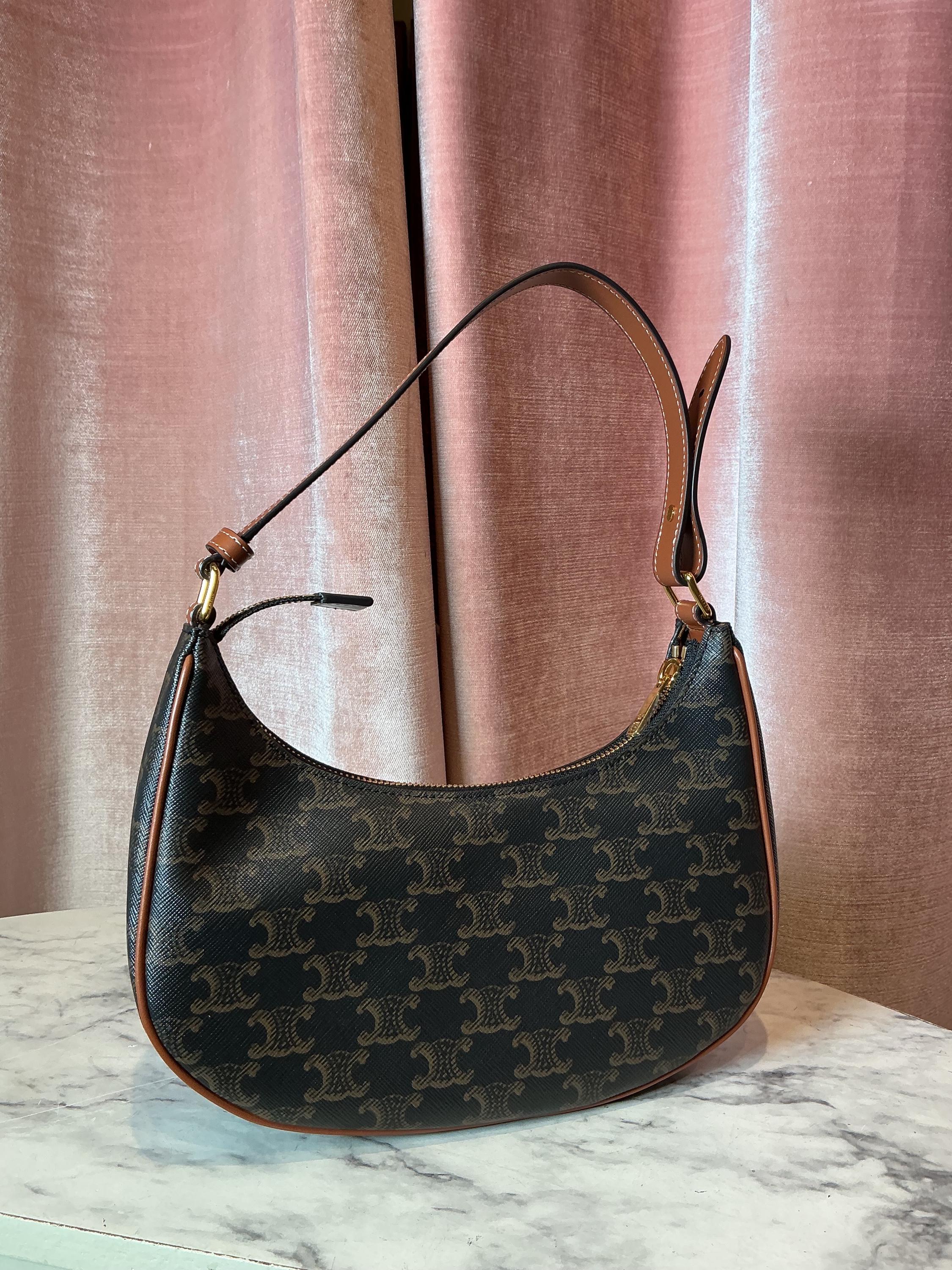 Celine Ava Bag in Triomphe Canvas and Calfskin Leather