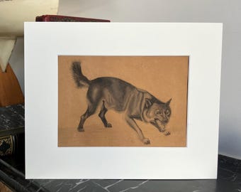 Rare pencil drawing of a wolf, late 19th century