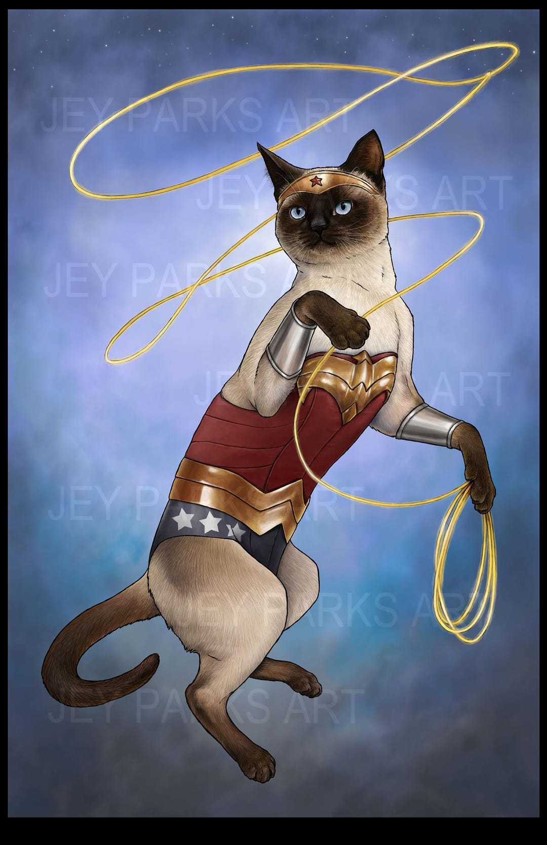 Wonder Cat 11x17 Poster - Etsy