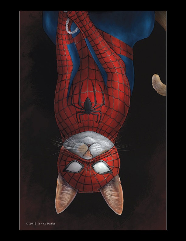 Spider-cat 4x6 Postcard - Etsy New Zealand