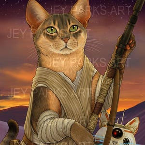 Rey and BB-Cat Postcard