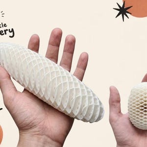 Puede incluir: Dos objetos blancos impresos en 3D con una estructura flexible de panal de abeja. Un objeto es alargado y cilíndrico, mientras que el otro es más pequeño y de forma ovalada. Ambos artículos presentan un patrón geométrico repetitivo.