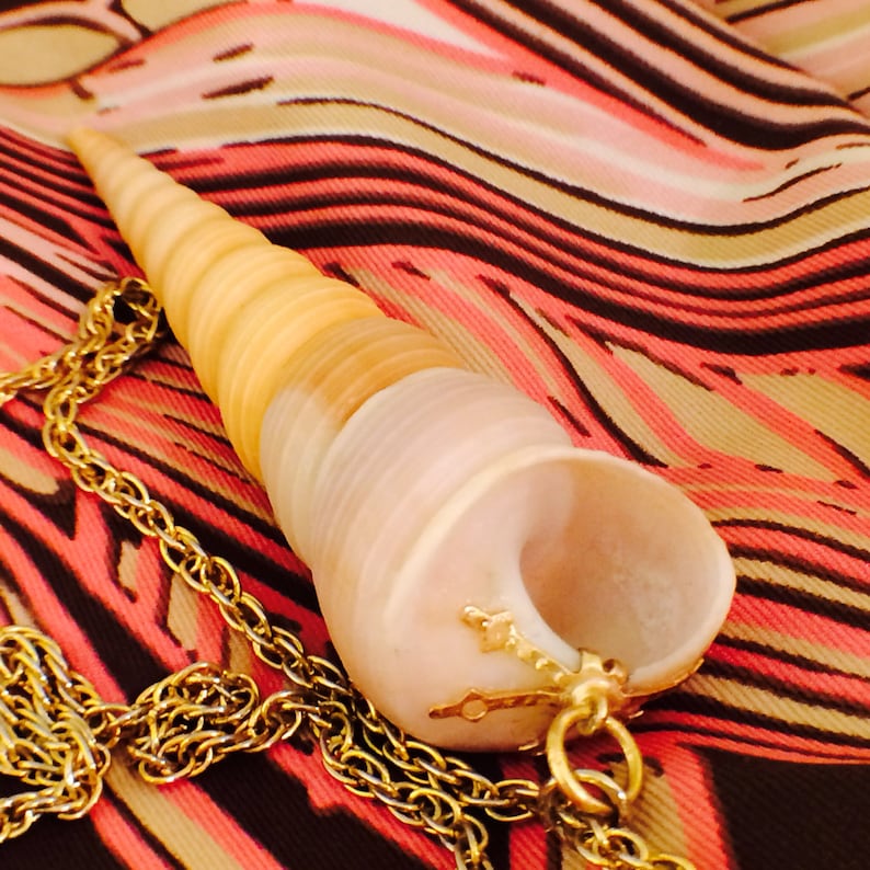 Vintage Shell Necklace Natures Beauty Décolleté Defining Collectible