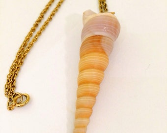 Vintage shell necklace natures beauty décolleté defining collectible shell