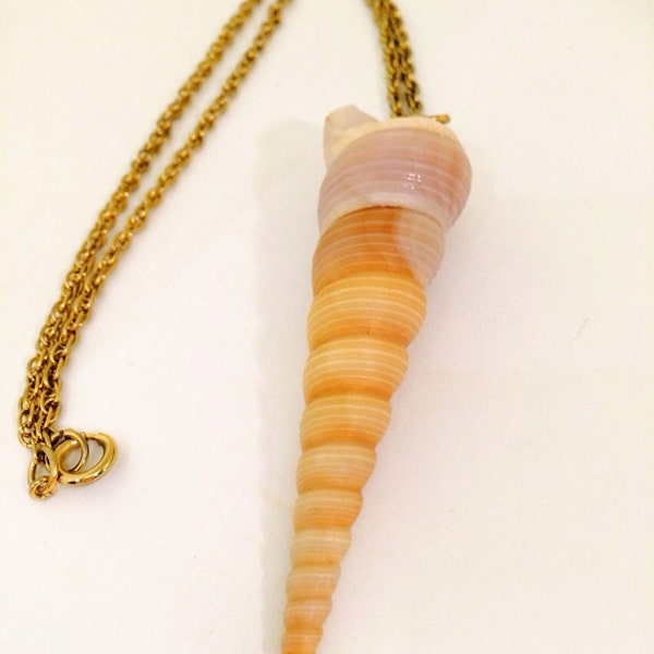 Vintage shell necklace natures beauty décolleté defining collectible shell