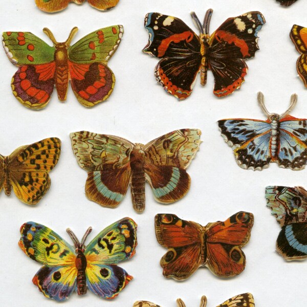 Butterfly DIE CUTS, Die Cut Butterflies, Paper Butterflies, Butterfly Scrap Reliefs, ef Scrap Reliefs, Scrap Reliefs, Butterflies, 7221