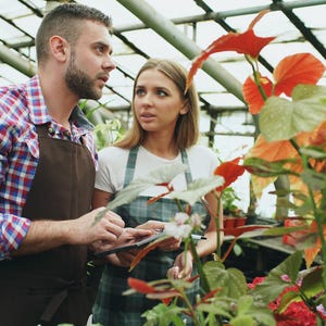 May include: Two individuals in a greenhouse wearing aprons over casual clothing, one in a red and blue plaid shirt and the other in a white t-shirt, holding a tablet while examining large, vibrant orange and green foliage plants in pots.