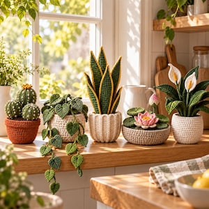 May include: A collection of five crocheted plants in various pots. The set includes a round cactus in a rust-coloured pot, a trailing vine with heart-shaped leaves, a tall snake plant, a pink lotus flower in a shallow bowl, and a white peace lily.