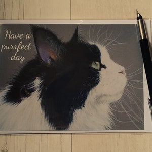 Cat Birthday card. Maine Coon card. Printed card. Greetings card. Birthday card. Have a purrfect day card