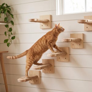 以下が含まれることがあります： 明るい色の木材で作られた壁掛け式の猫用棚セットで、水平な面にはサイザル麻のロープが巻かれています。棚は白いパネル壁に階段状に配置されており、猫が登るための通路として機能するようになっています。