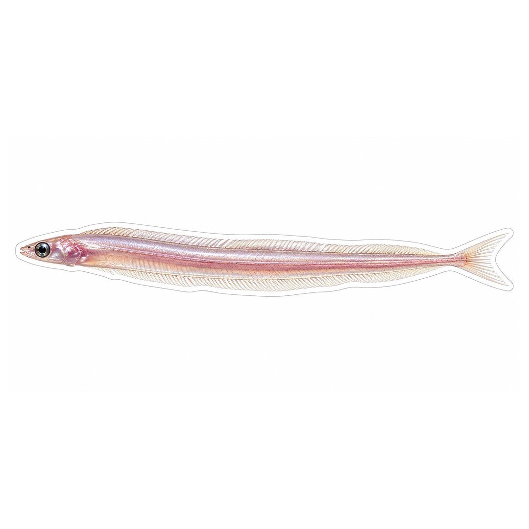 Pale Pink Slender Fish With Forked Tail Art Vinyl Decal Stickers - Etsy