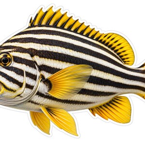 May include: A fish sticker featuring a vibrant yellow and black striped pattern across its body. The fish has a prominent yellow dorsal fin, yellow pectoral fins, and a yellow tail fin with black spots. The design includes a white border outline.