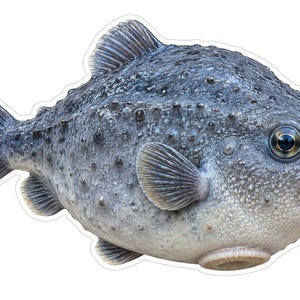 May include: A round, grey lumpfish with a textured, bumpy skin surface, a large dark eye, and translucent fins. The fish has a pale, circular suction disc on its underside and a small mouth, presented as a die-cut sticker with a white border.