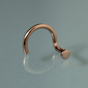 May include: A silver nose ring with a small, round bead at the end.