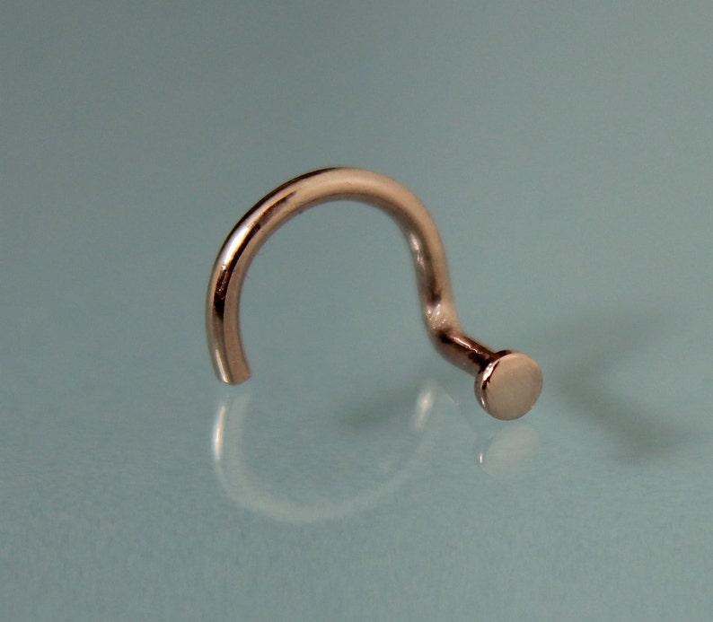 May include: A silver nose ring with a small, round bead at the end.
