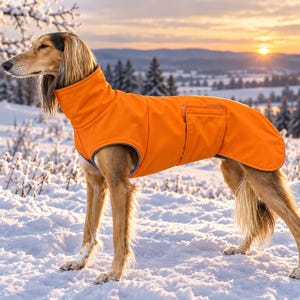 May include: A bright orange dog coat with a high collar and a rectangular pocket on the side. The coat features a smooth, solid-colored exterior and is designed to cover the torso and neck of a slender, long-haired dog standing in the snow.