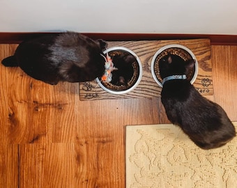 Elevated Wood Pet Feeder with Stainless Steel Bowls - Rustic Mocha Stain