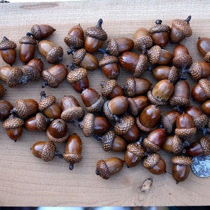 Acorns Large with Caps Autumn crafts, decorations, DIY Rustic Wedding supplies Vase Filler Clean & dried Best acorns image 10