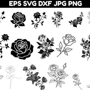 Könnte beinhalten: Eine Sammlung von schwarz-weißen Rosenillustrationen in verschiedenen Stilen, darunter solide Silhouetten, Strichzeichnungen und detaillierte Skizzen. Der Text EPS SVG DXF JPG PNG erscheint oben im Bild und zeigt mehrere florale Designs.