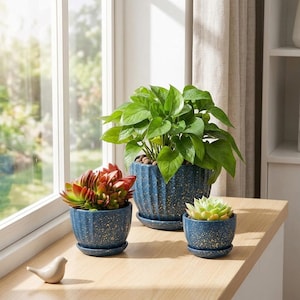 May include: Three blue ceramic planters with vertical ribbed textures and gold speckles, each featuring a matching saucer. The largest planter holds a leafy green plant, while the two smaller planters contain succulent plants with red and green leaves.