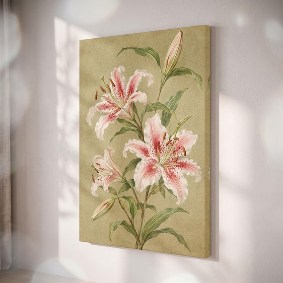 Pink Lily Botanical Canvas Print, Vintage French Country Floral Art
