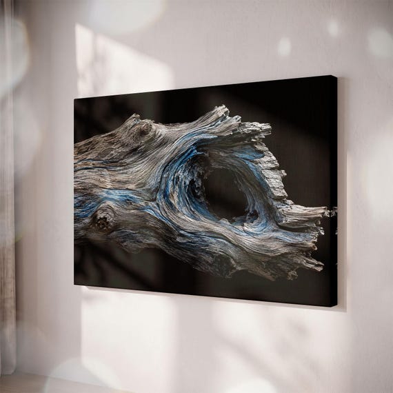 Driftwood Wood Knot Canvas Print, Blue Bark Texture, Moody Nature Art