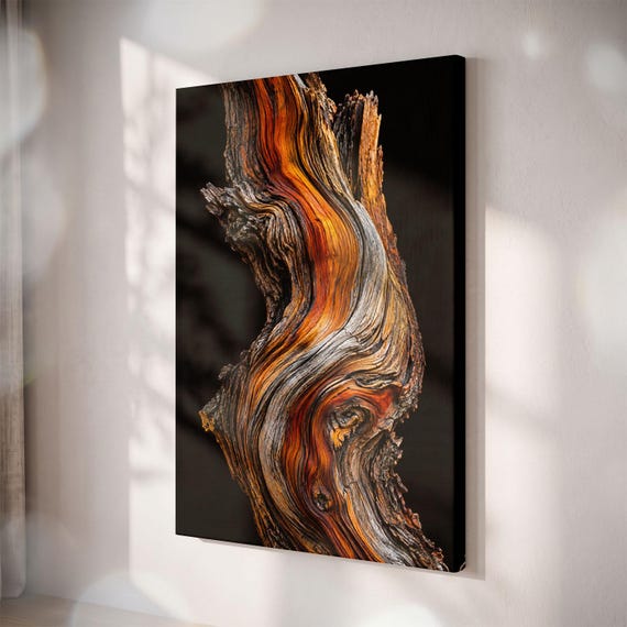 Twisted Wood Grain Canvas Print, Rustic Driftwood Wall Art, Organic Nature Decor