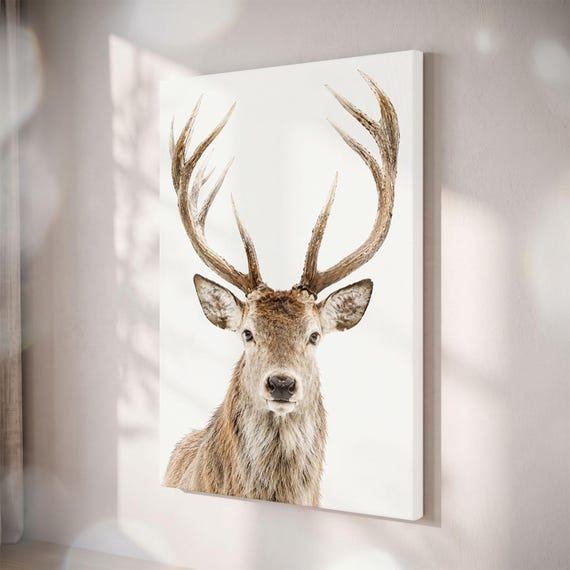 Deer Canvas Print, Rustic Buck Antlers, Minimalist Wildlife Decor