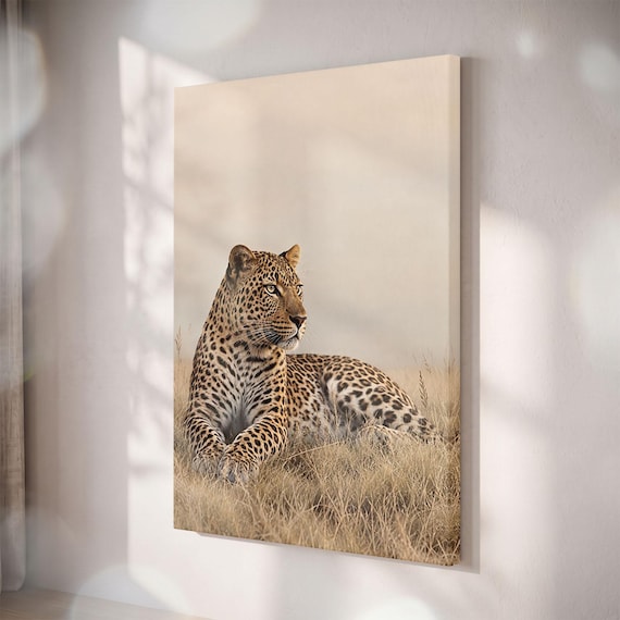 Leopard Canvas Wall Art, African Wildlife Photography, Neutral Safari Decor