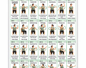 Peut inclure: Une affiche de défi Tai Chi sur chaise de 28 jours présentant une grille de 28 routines d'exercices quotidiennes. Chaque case montre une personne en t-shirt vert et pantalon noir assise sur une chaise, illustrant des mouvements avec des flèches.