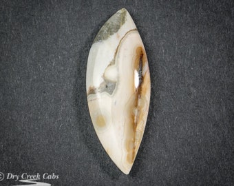 Ocean Jasper Cabochon