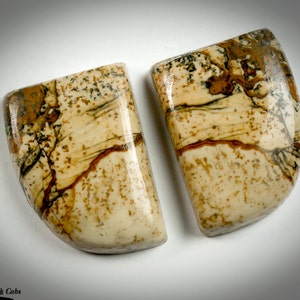 Picture Jasper Matched Pair cabochons