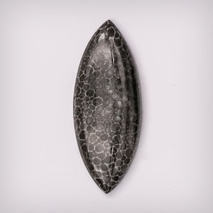 Black Fossil Coral Cabochon - 30x12x4.3mm